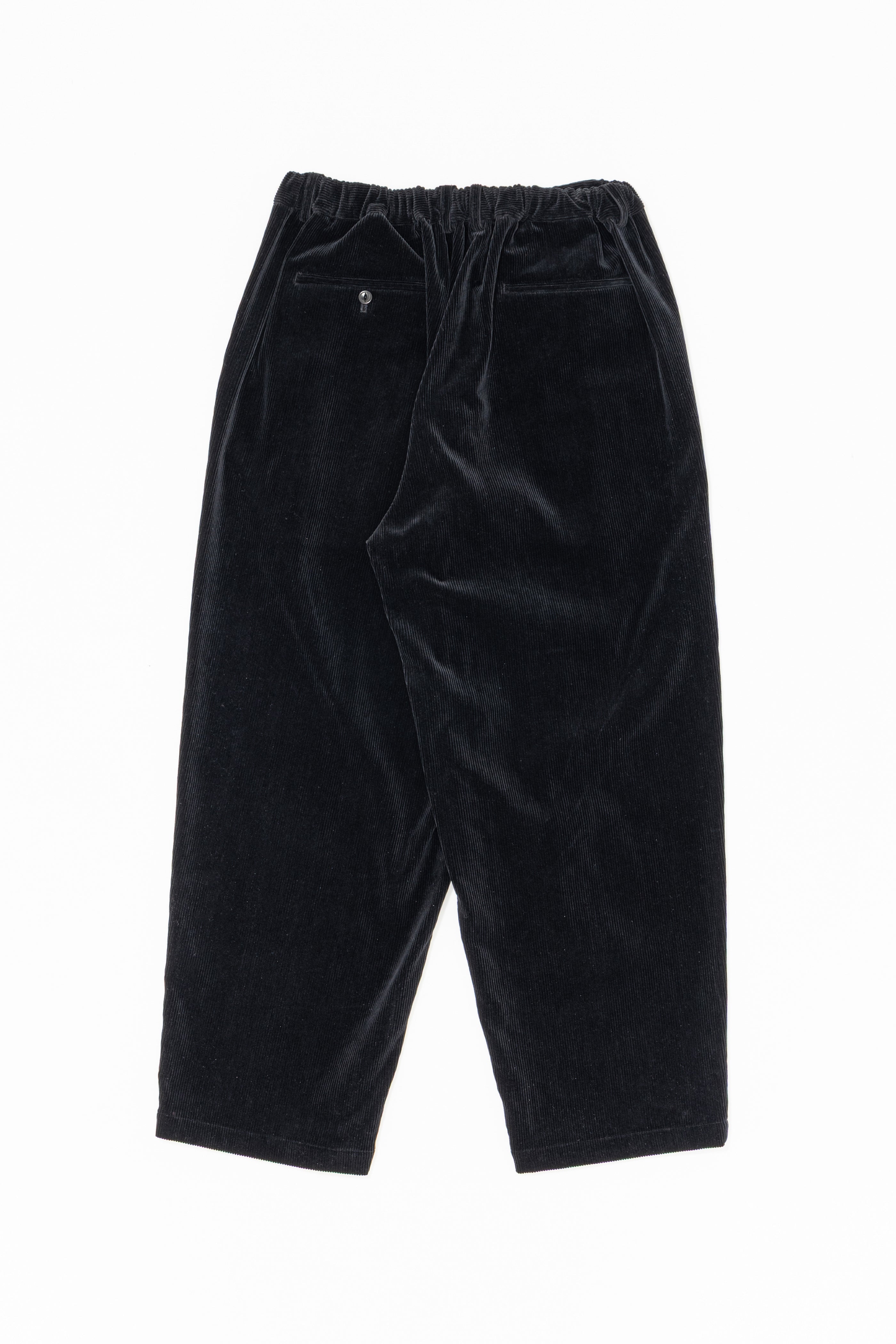 DOUBLE PLEATED WIDE EASY PANTS