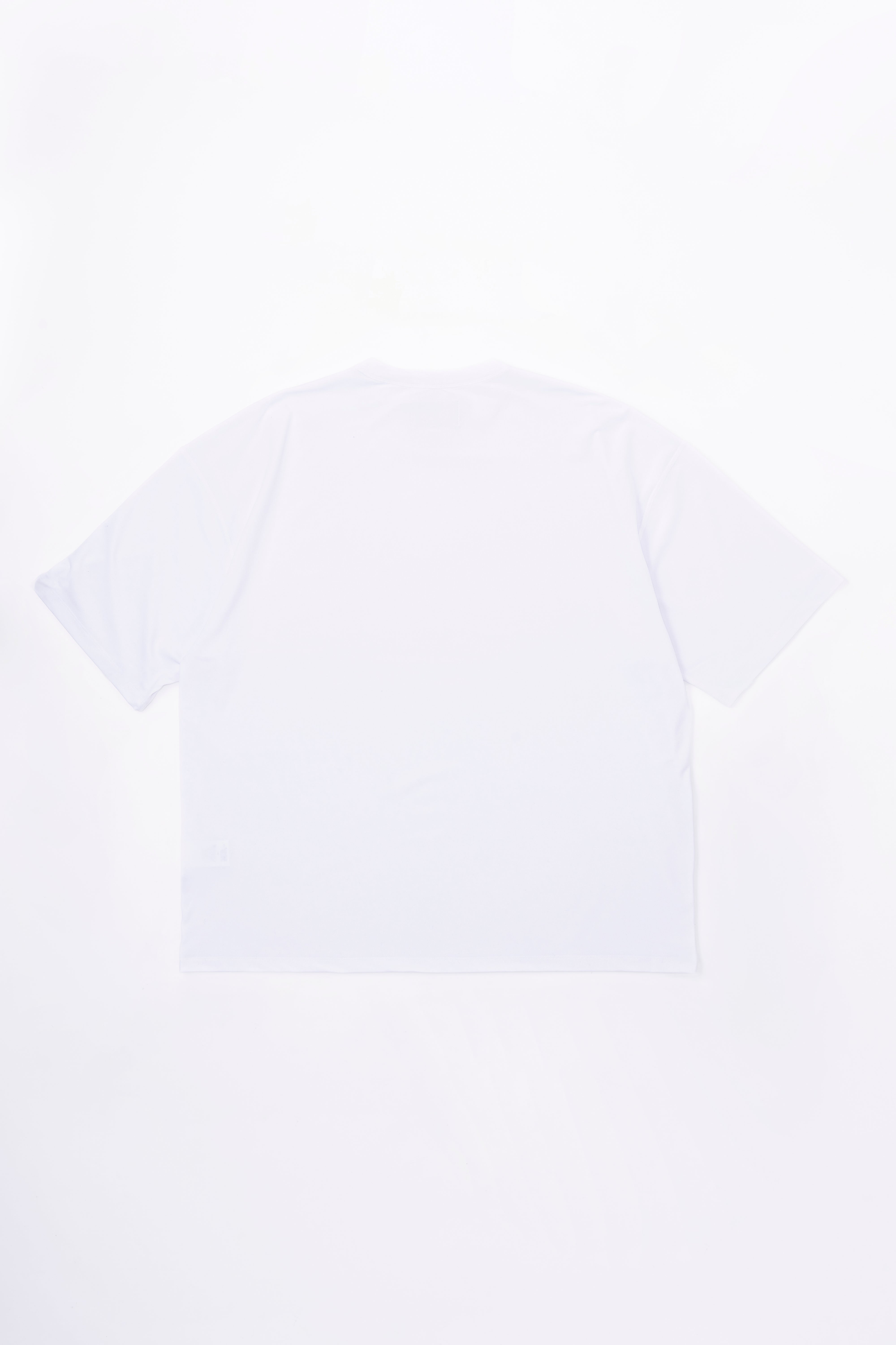BIG T-SHIRT