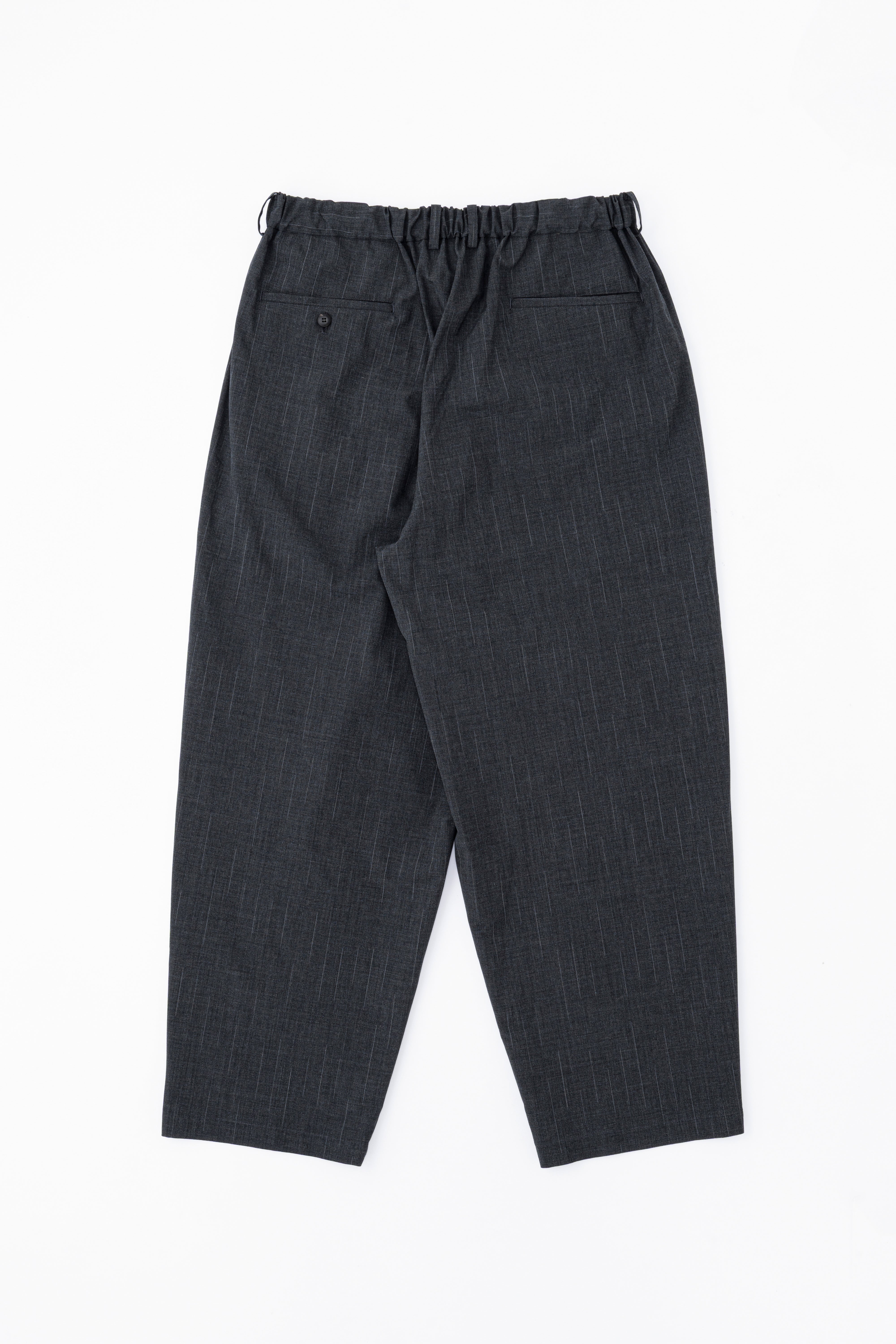 DOUBLE PLEATED WIDE EASY PANTS