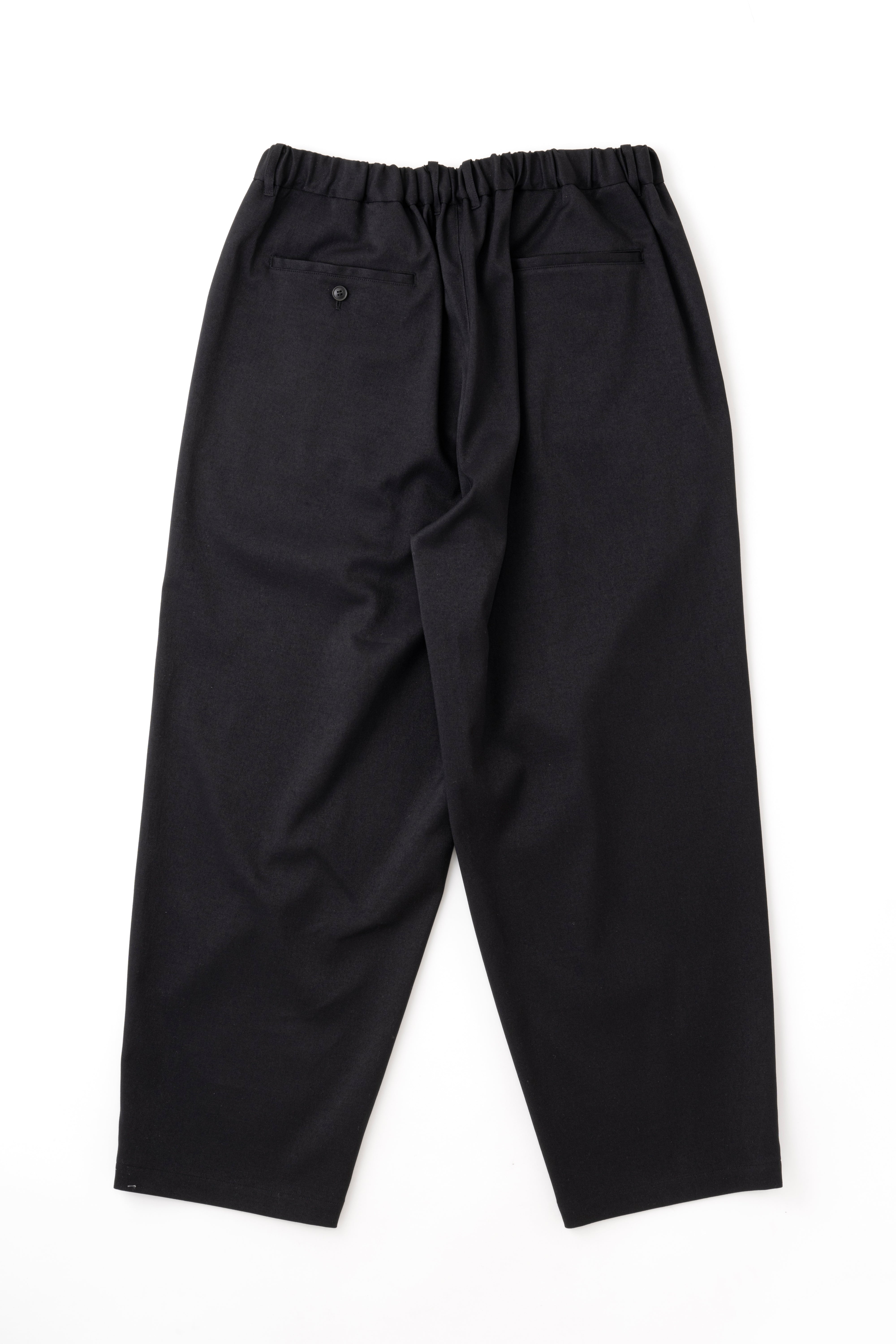 DOUBLE PLEATED EASY PANTS