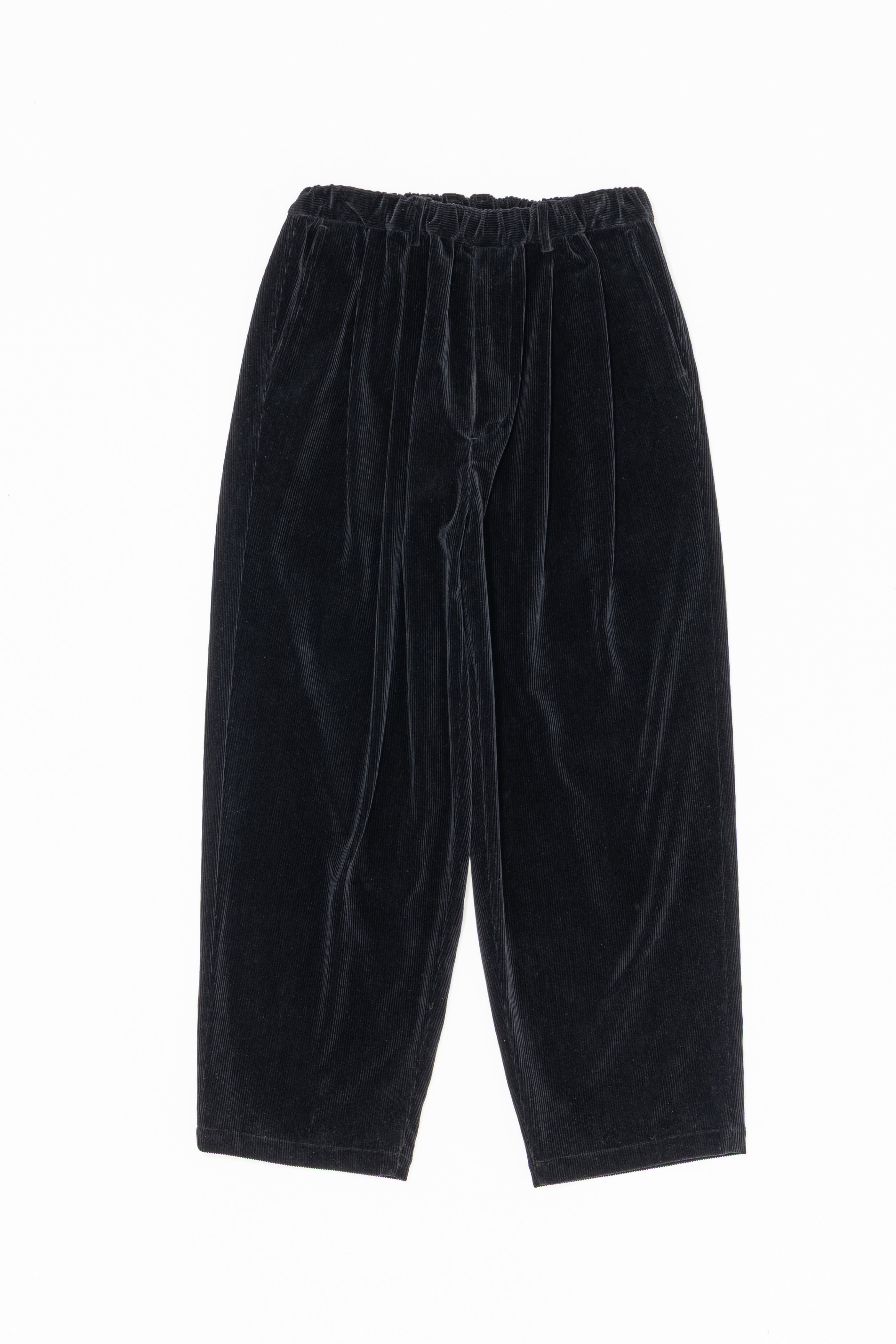 DOUBLE PLEATED WIDE EASY PANTS