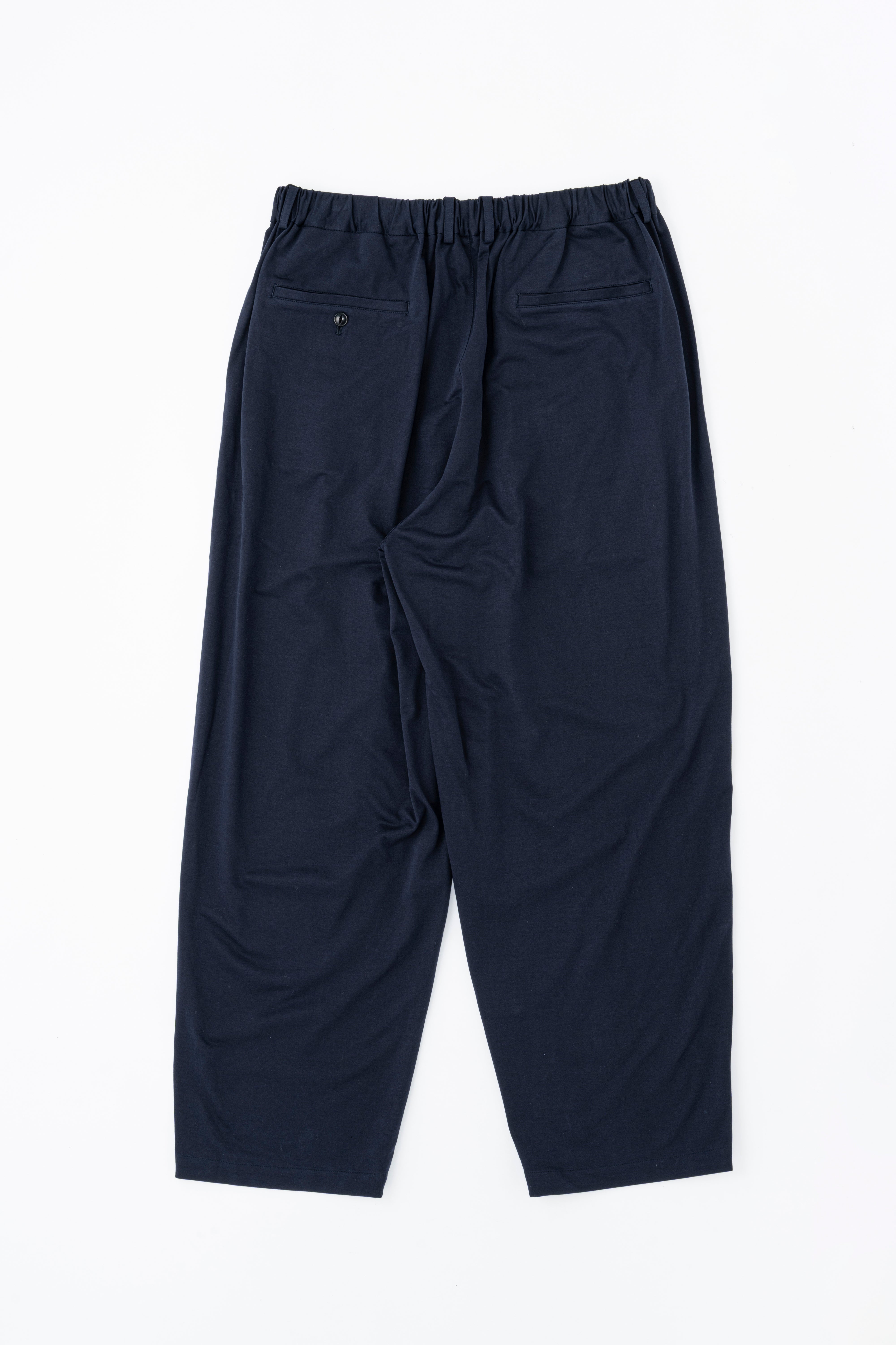DOUBLE PLEATED WIDE EASY PANTS