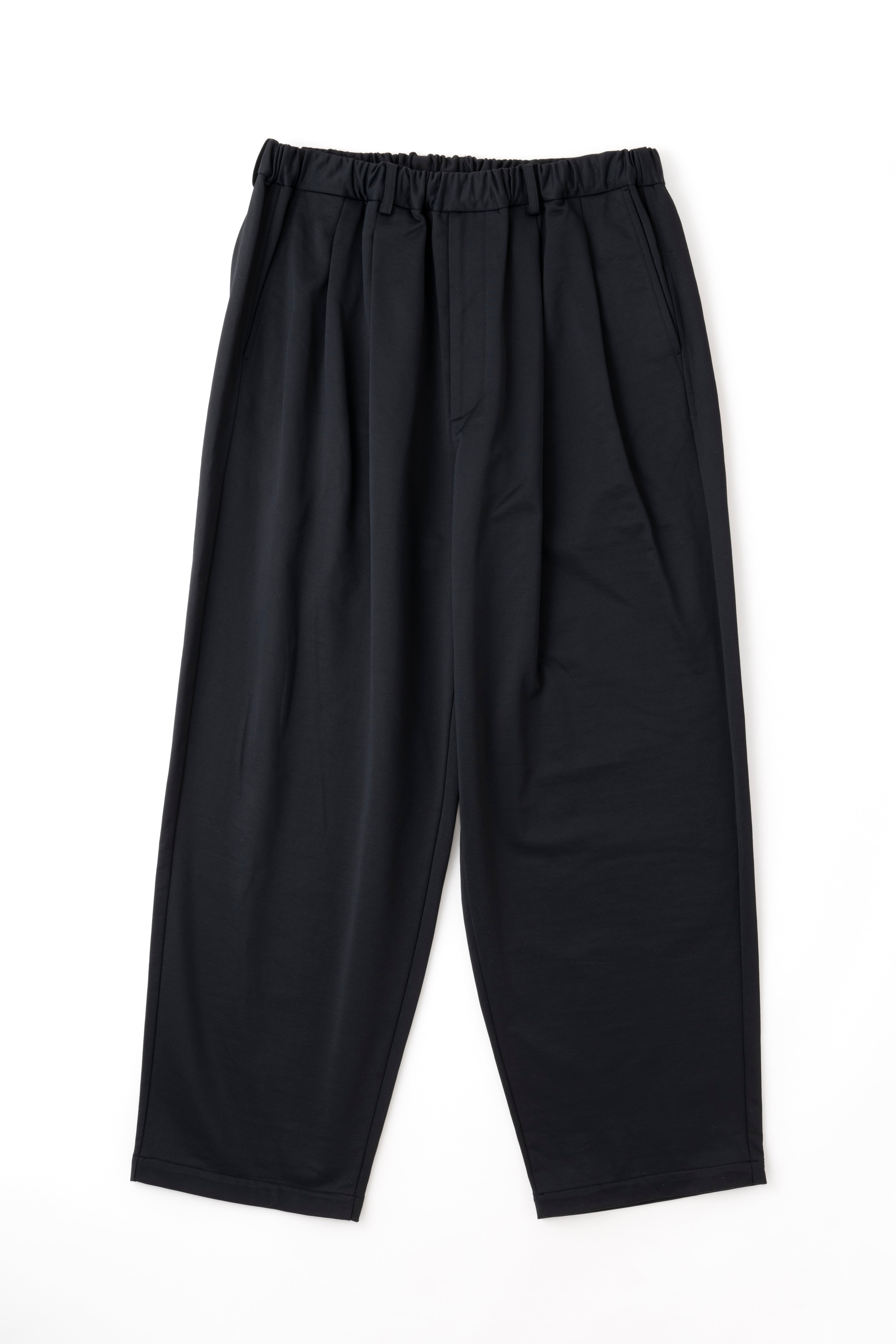 DOUBLE PLEATED WIDE EASY PANTS