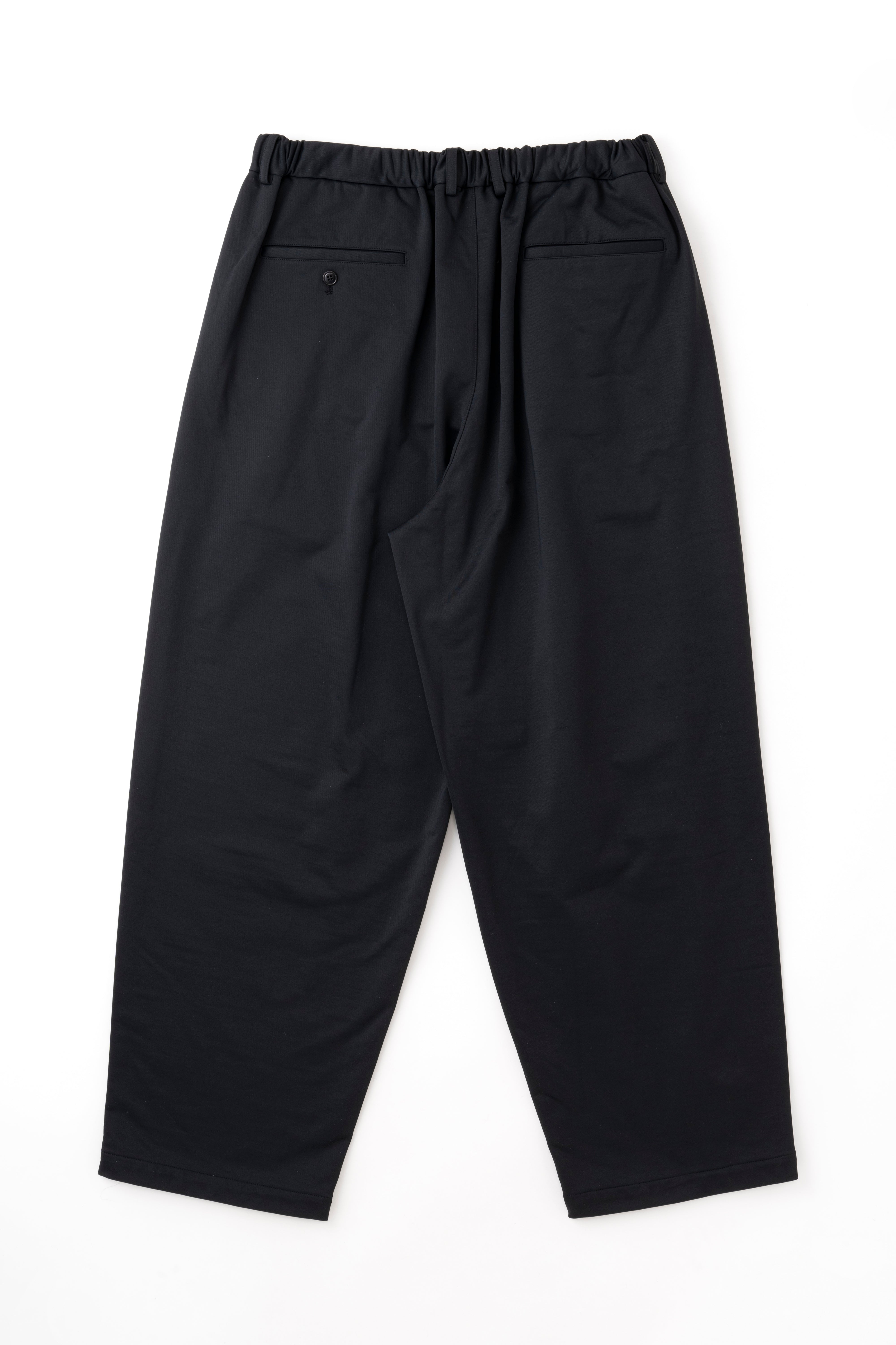 DOUBLE PLEATED WIDE EASY PANTS